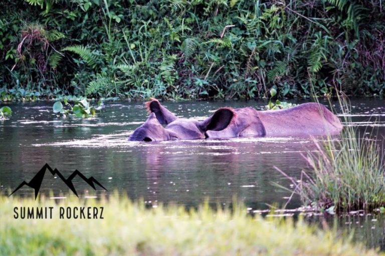 Chitwan Nationalpark