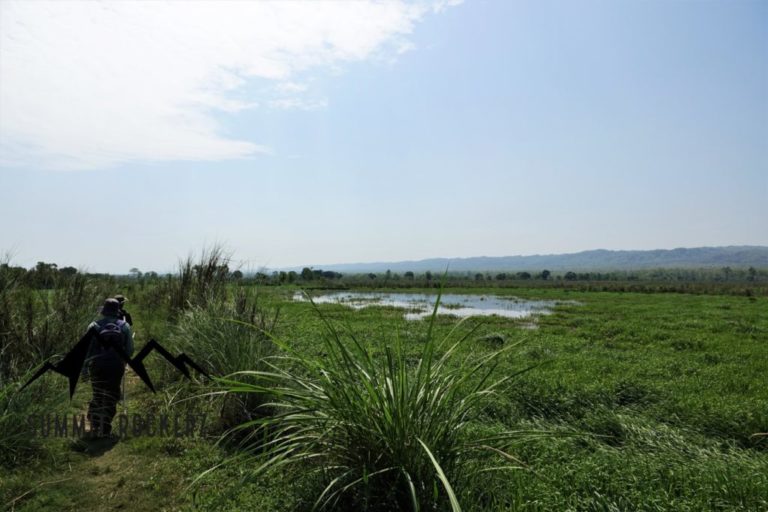 Chitwan Nationalpark