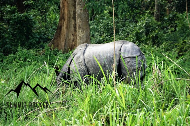 Chitwan Nationalpark