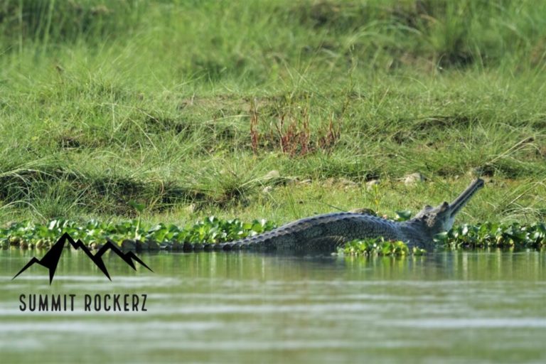 Chitwan Nationalpark