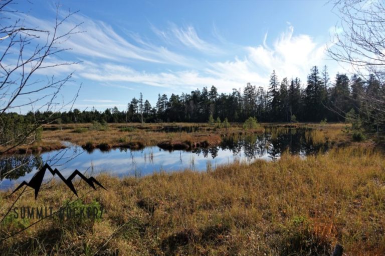 Hochmoor Kaltenbronn