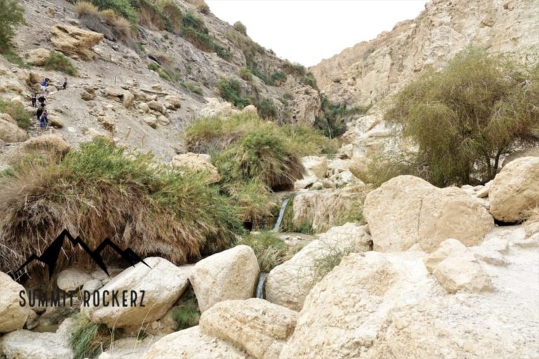 Wadi David