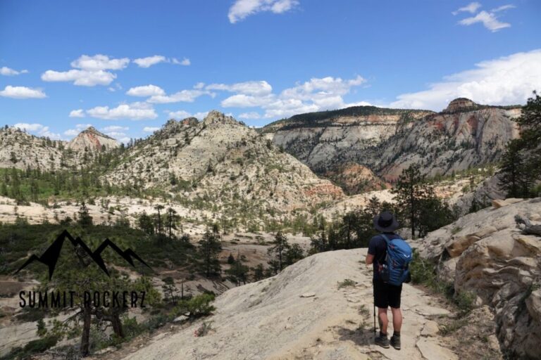 zion wilderness area